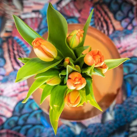 22 Minuten Amsterdam En Utrecht