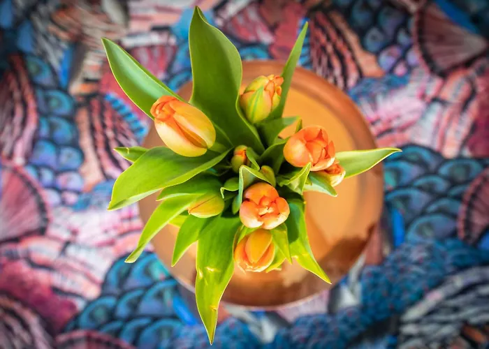 22 Minuten Amsterdam En Utrecht